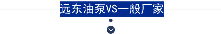 遠(yuǎn)東圓弧齒輪泵